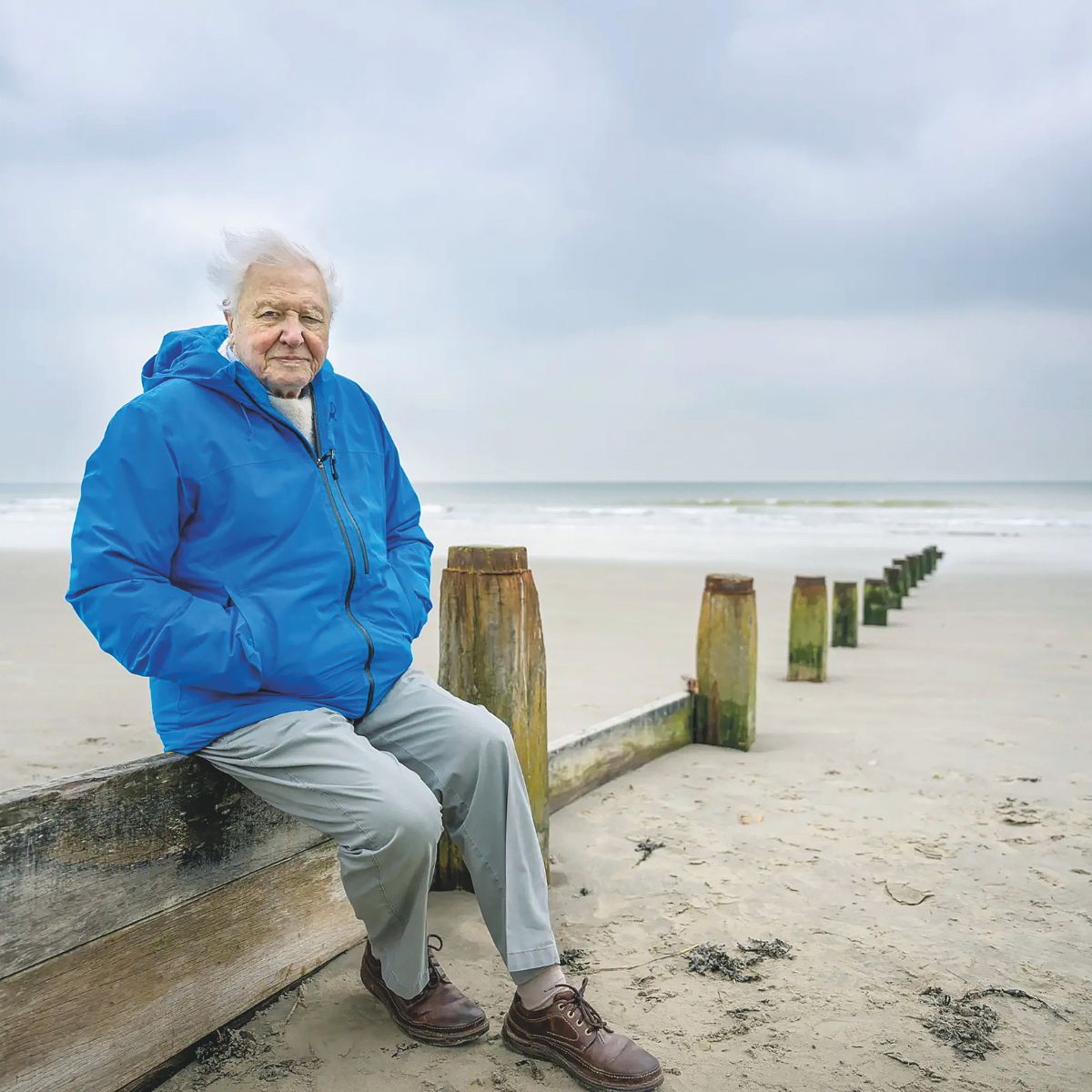 David Attenborough, a los 99 años: «Yo no veré el final de esta historia»